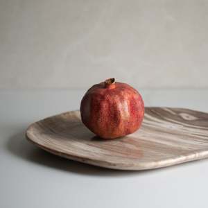 Just Added: Petrified Wood Plate | 'L'