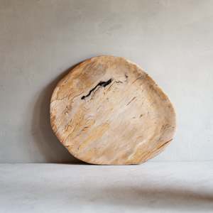 Petrified Wood Plate | 'D'