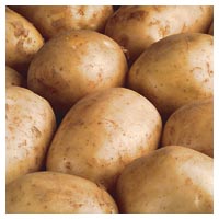 The Salvation Army Greymouth Food Bank Page: Potatoes 1kg
