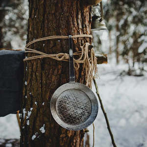 Camp Fire Cooking: Petromax Wrought Iron Skillet