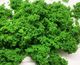 Flock for Bushes and Tree Foliage - Green - 3 Foot 6 Models