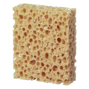 Tedd’s Combi Cleaning Sponge