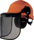 DELTAPLUS Forestier3 Helmet combo