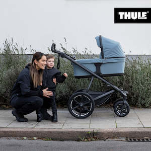 Thule Urban Glide 3: Thule Urban Glide 4-wheel + Bassinet