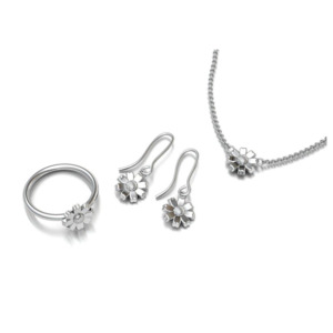 Wildflower Collection: Daisy Set