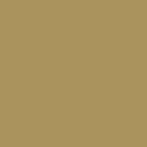 Gold- Ashleigh Fish - Custom Pre Order