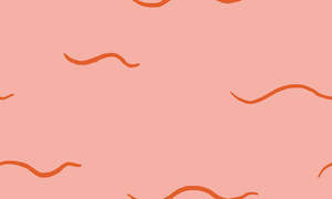 Whale Of A Time Ashleigh Fish Custom Pre Order: 2 inch waves peachy Whale of a Time - Ashleigh Fish - Custom Pre Order