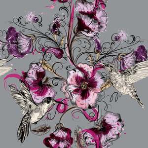 Humming Bird on Grey