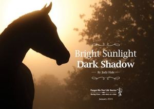 Forget Me Not Life Stories: Bright Sunlight, Dark Shadow - by Judy Hale