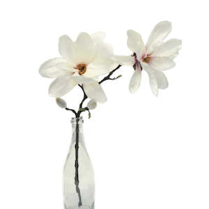 Artificial Plant Apollo Magnolia Spray