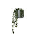 Artificial Plant String Of Pearls Small