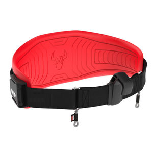 Wing Belt 3.0