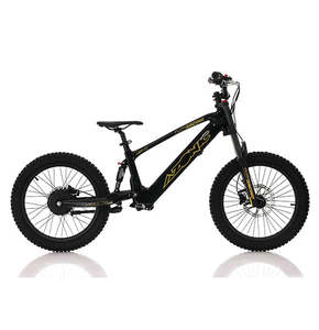 Electric Vehicle: AZONIC Flow 20 (AZF-20) - Electric Balance Bike