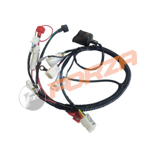 Forza Fmx70 Parts: FORZA FMX 70 Wire Loom 2024 - NOW