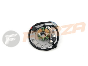 FORZA FXR155z FMX 160BF Magneto (Stator) Unit 2012 - NOW