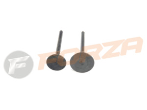 FORZA FXR155z FMX 160BF Engine Valve kit (Intake&Exhaust)