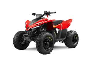 CFMOTO CForce 110SE Youth ATV Quad