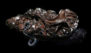 Products: The Pacific Grail Fossil Studios