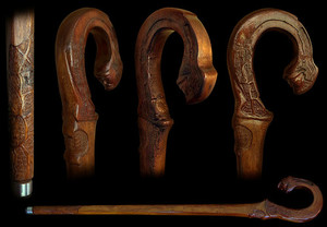 Products: Medusa Fossil Studios