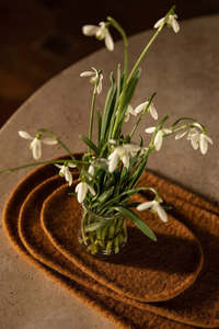 Home Lifestyle: Plato Oval Felt Trinket Trays