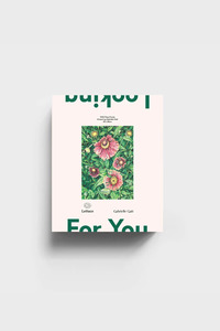 Lettuce x Father Rabbit - Looking For You