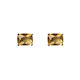 Gold Mini Studs
