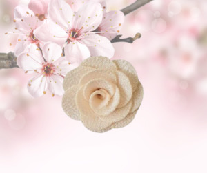 Rider Accessories: Teen Or Adult Fabric Lapel - Cream