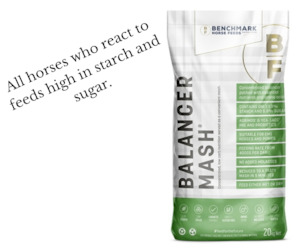 Horse Feed: Benchmark Balancer 20kg