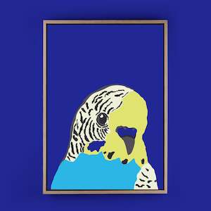 Artpaths: Barry Budgerigar