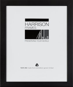 Framing: Ready-made Frame: Standard