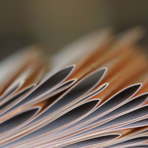 Desktop Publishing: Booklet Making, Folding & Cutting