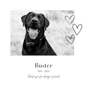 Special Occasions: Pet Memorial Photo Blocks