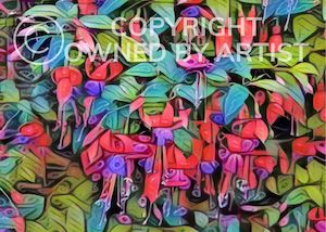 Posters Prints: Fuchsia