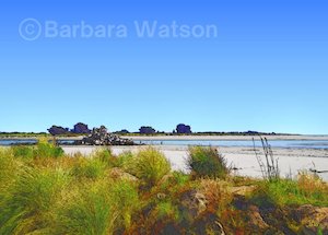 Posters Prints Sumner: Shag Rock