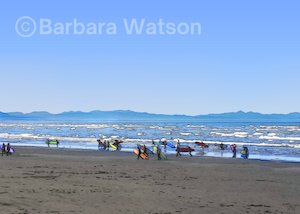 Posters Prints Sumner: Surf School's Out