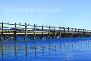 Meeting Called to Order