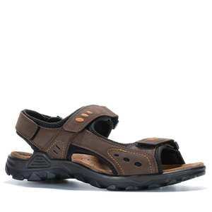 Cabello Trail Men's Brown