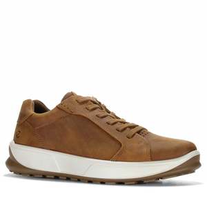 Mens Sneakers: Ecco Byway 2.0 522834 Camel