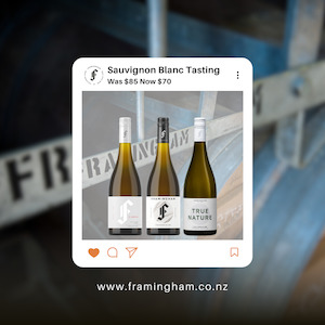 Special Release Packs: Sauvignon Blanc Tasting