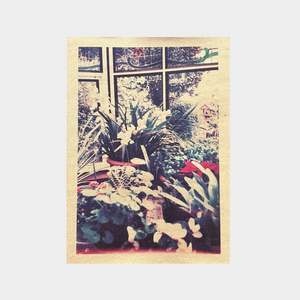 Urban Gardener by Lydia Hannah Thomas