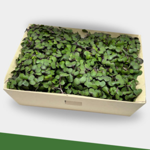 Products: Small Box Subscription