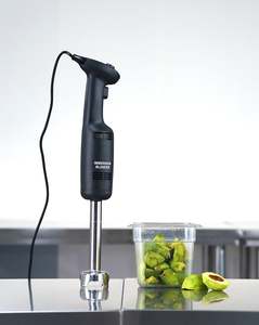 Immersion Blender IB350CV-A