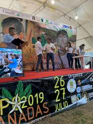 Freshly Roasted Coffee: Fair Trade Organic Typica, Castillo, Caturra by Planadas Municipality