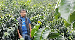 Freshly Roasted Coffee: Washed Caturra & Bourbon by Cortez Family