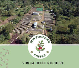 Freshly Roasted Coffee: Ethiopia Yirgacheffe Gedio Kochere Washed