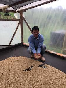 Freshly Roasted Coffee: Colombia Washed Pink Bourbon