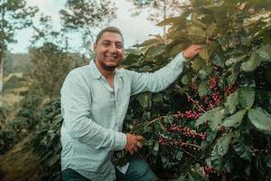 Freshly Roasted Coffee: Honduras Honey Pacas