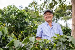 Coffee: Colombia Blackberry Castillo