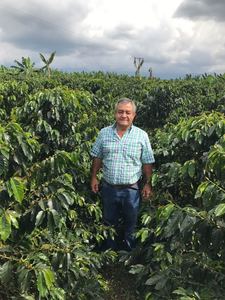 Coffee: Colombia Natural Papayo