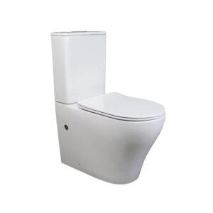 Watermark Back To Wall Smart Toilet - Freco